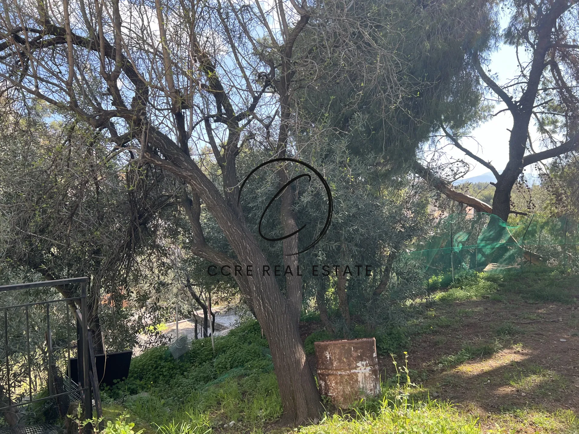Οικόπεδο 1000τ.μ.  - 3