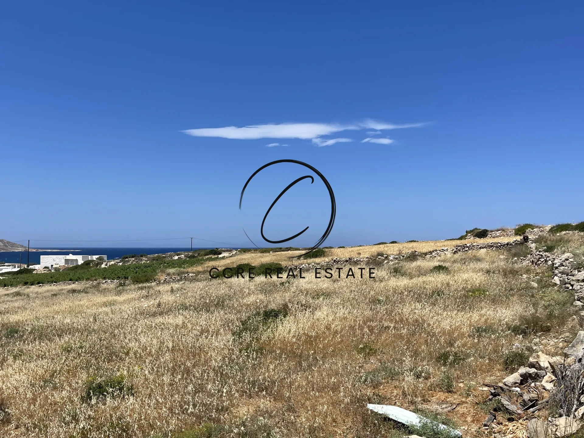 Αγροτεμάχιο 14600τ.μ.  - 4