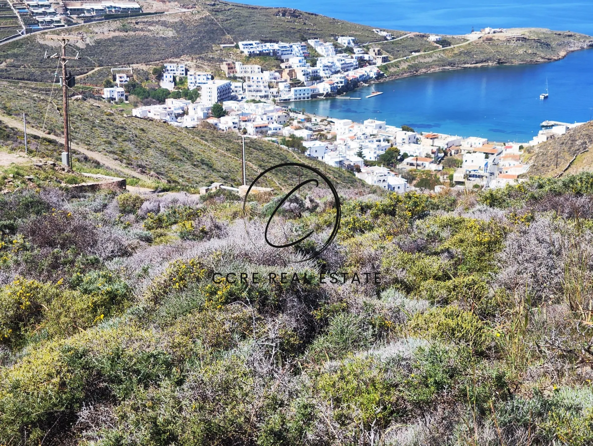 Οικόπεδο 4300τ.μ.  - 2