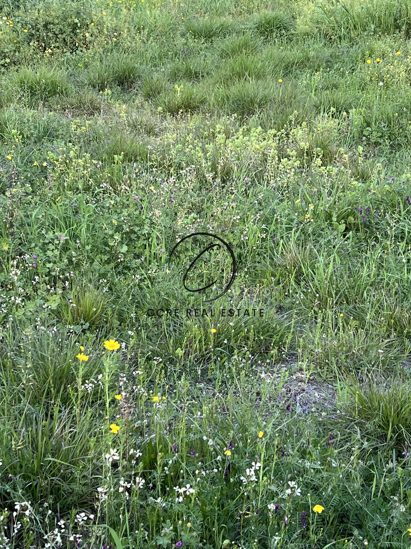 Plot 1140m²  - 3