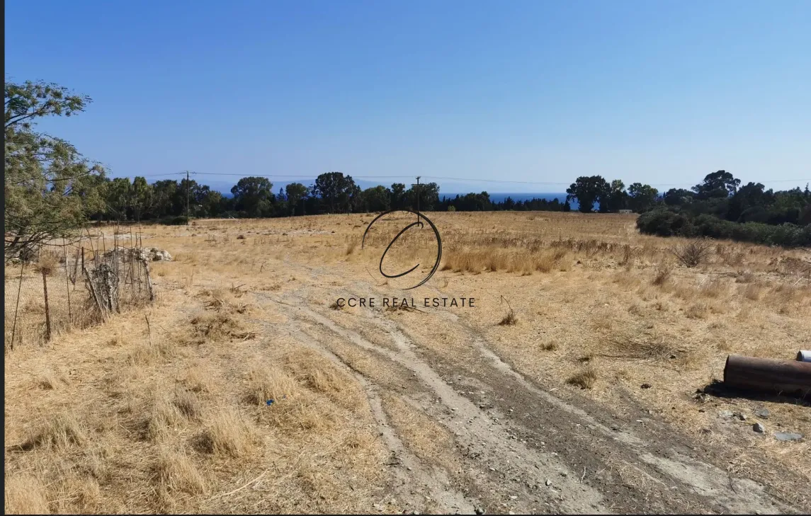 Οικόπεδο 43000τ.μ.  - 3