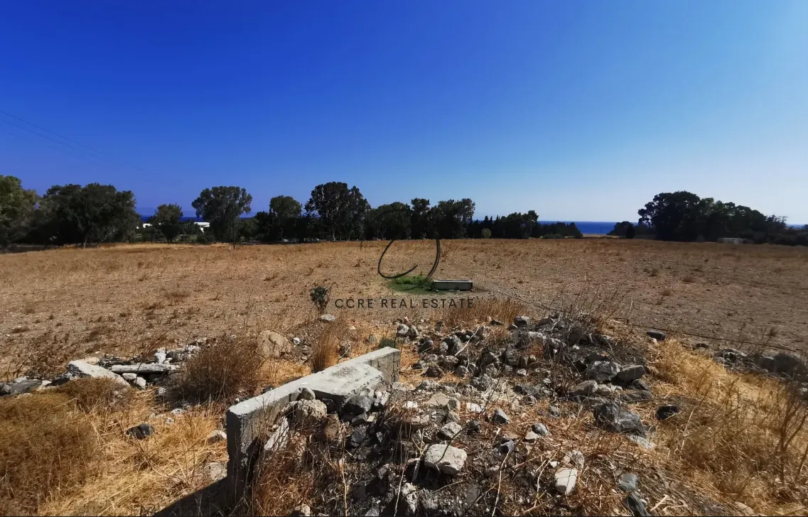 Οικόπεδο 43000τ.μ.  - 4