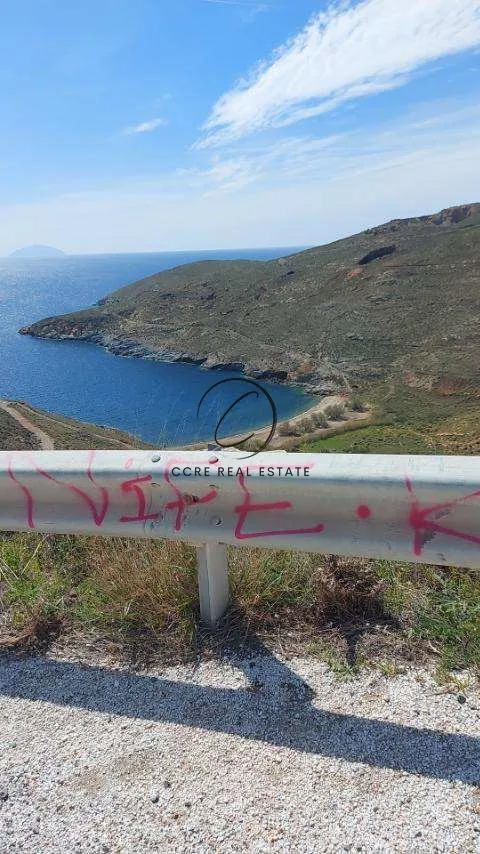 Οικόπεδο 4003τ.μ.  - 2