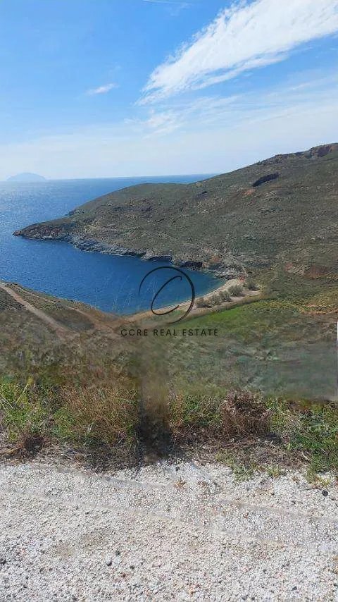 Οικόπεδο 4003τ.μ.  - 3