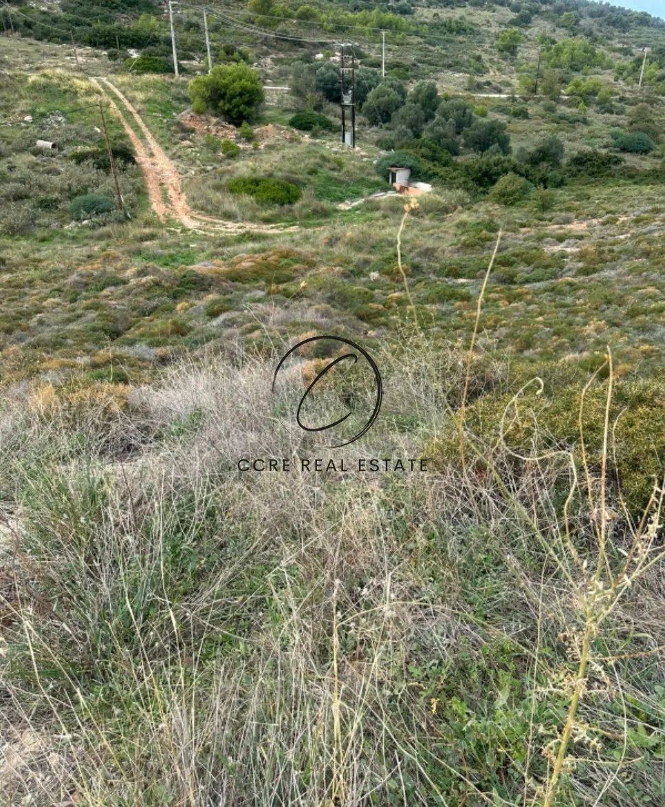 Οικόπεδο 602τ.μ.  - 3