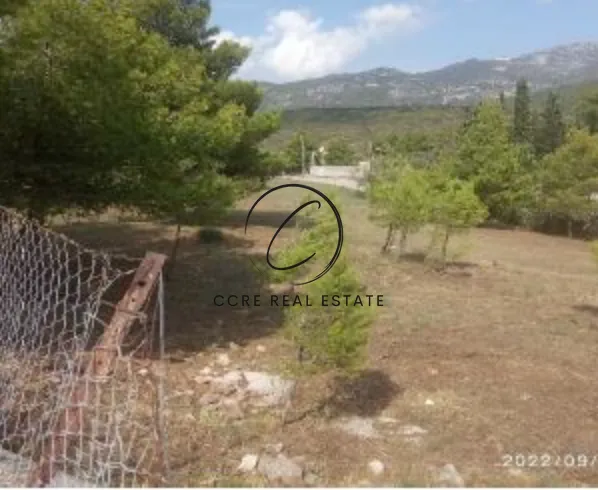 Οικόπεδο 7099τ.μ.  - 3