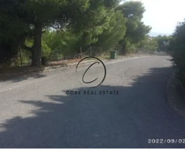 Οικόπεδο 7099τ.μ.  - 5