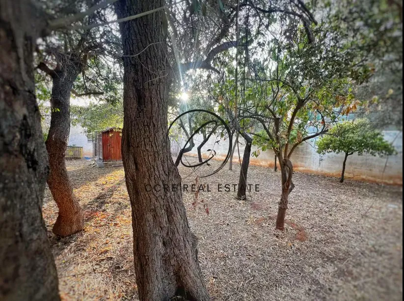 Detached house 74m²  - 5