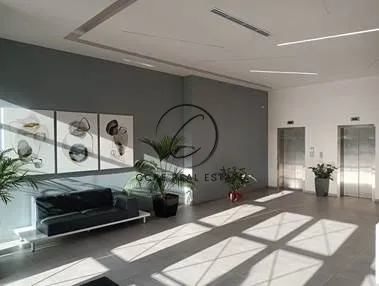 Office 256m²  - 2