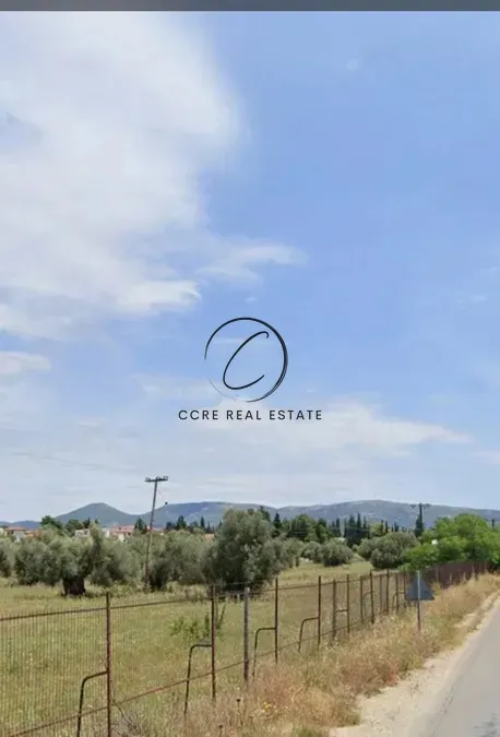Plot 74557m²  - 5