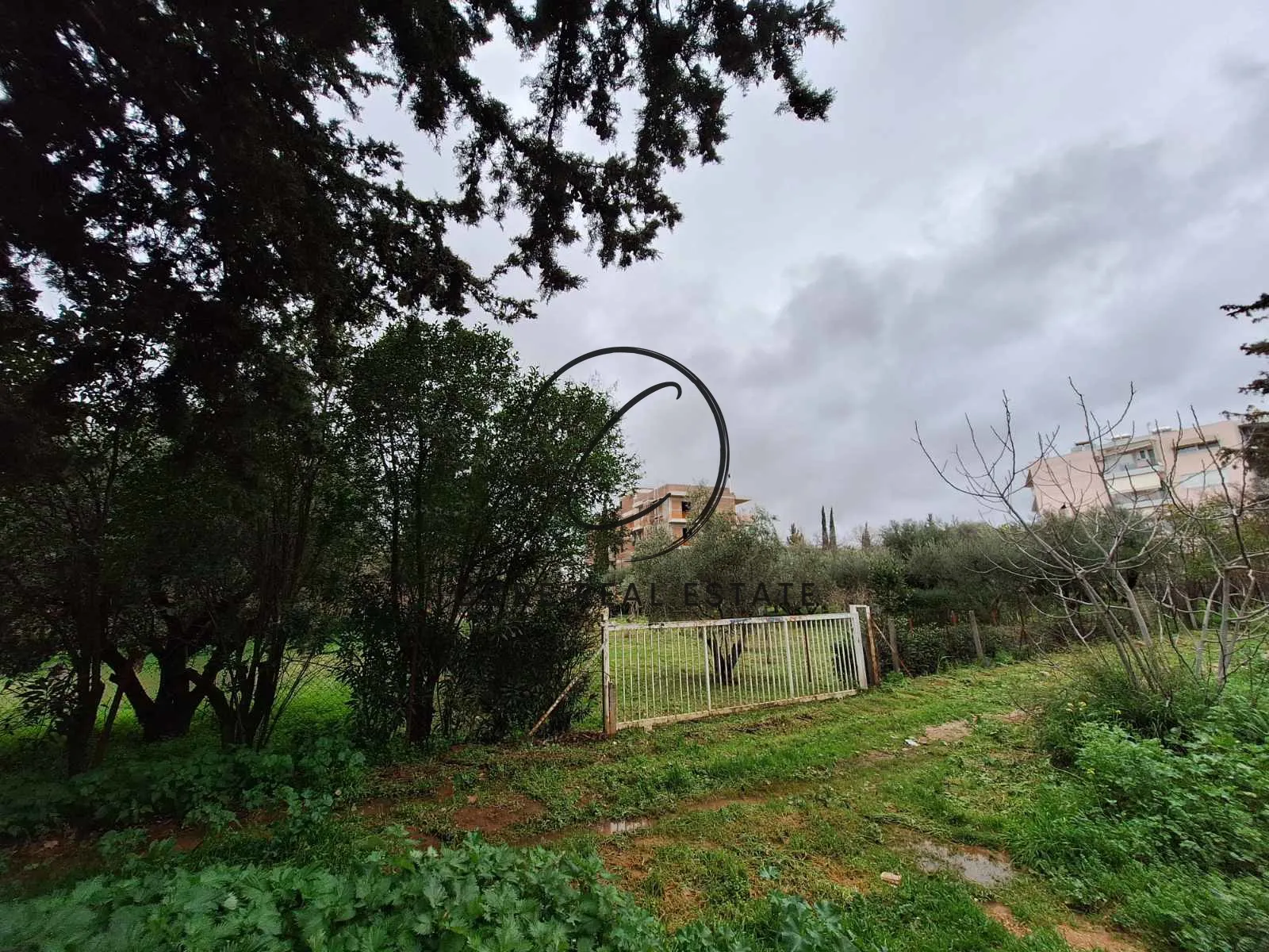 Οικόπεδο 2647τ.μ.  - 3