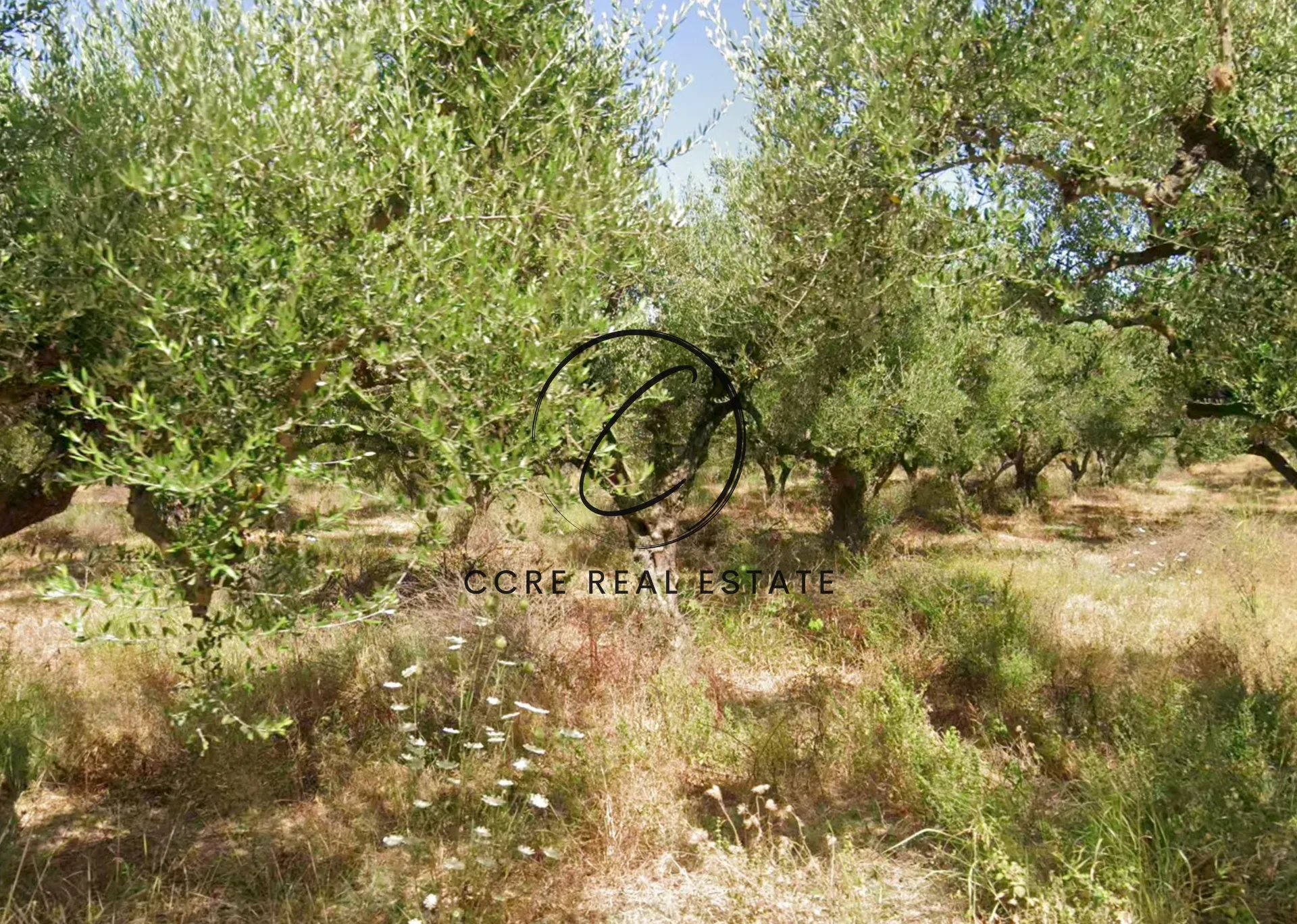 Plot 8347m²  - 3