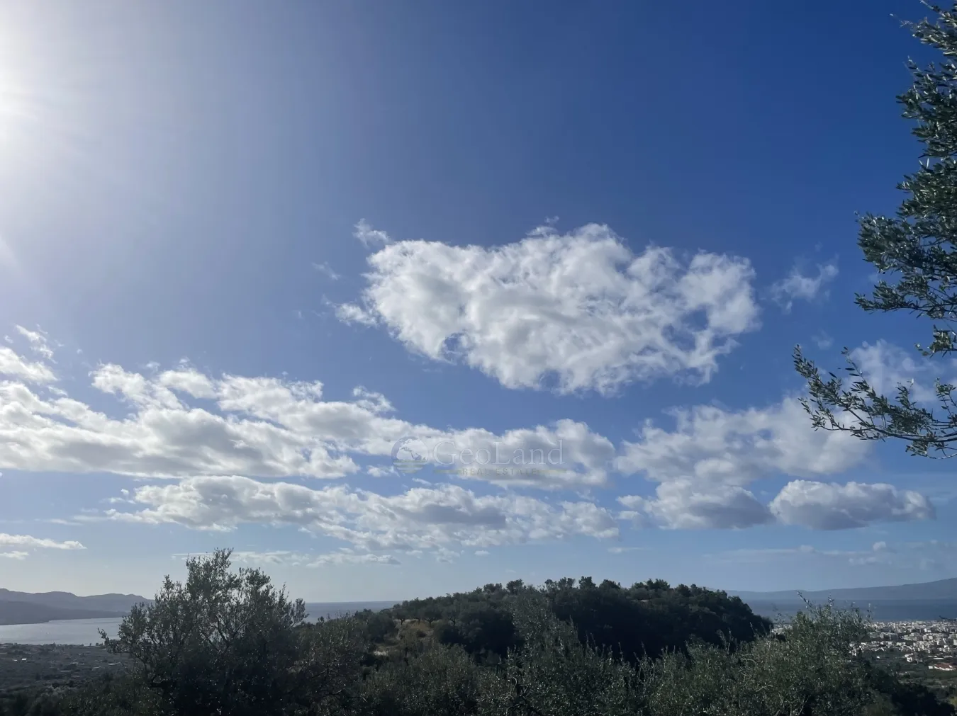 Αγροτεμάχιο 7000τ.μ.  - 2