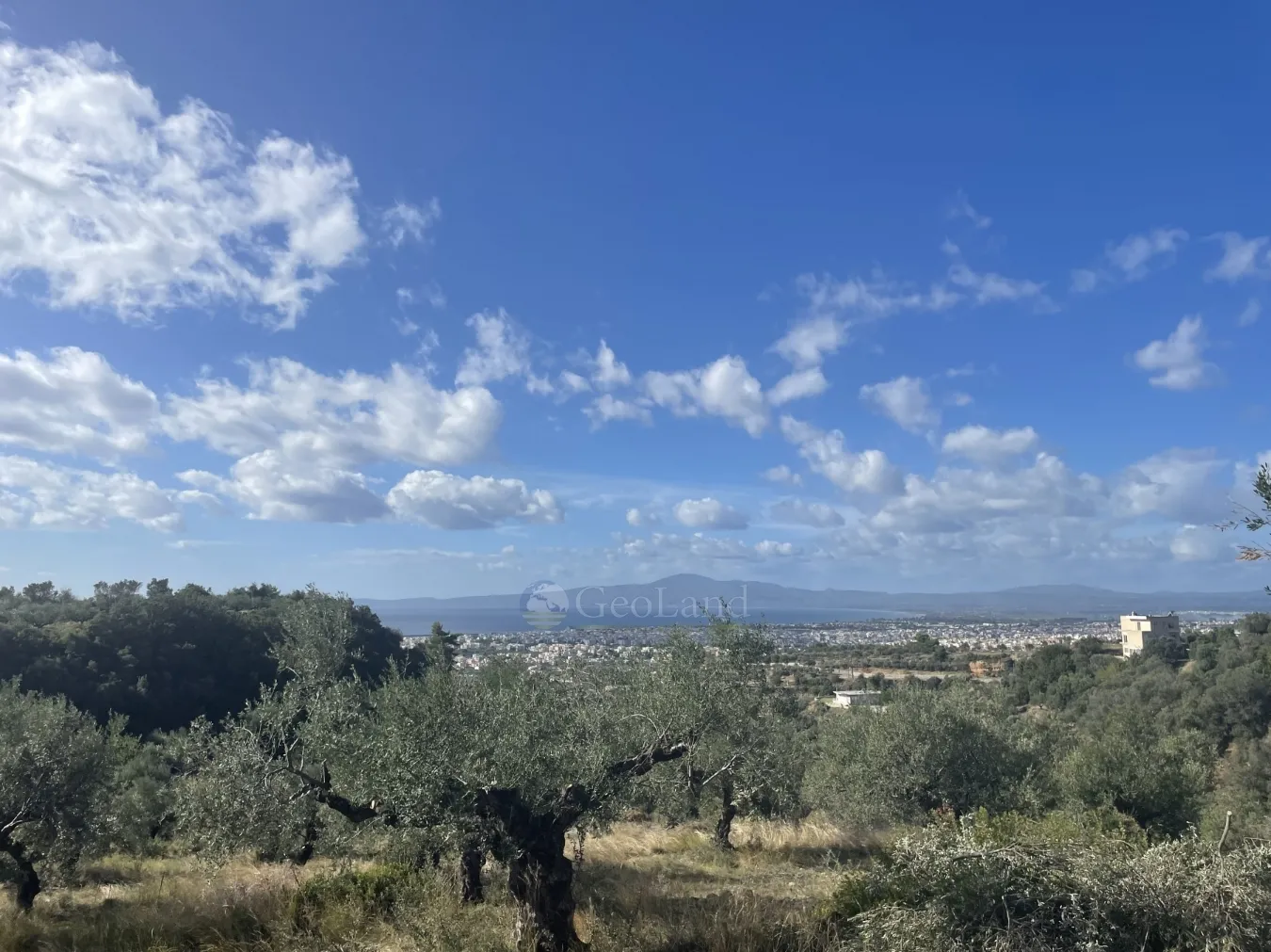 Αγροτεμάχιο 7000τ.μ.  - 5