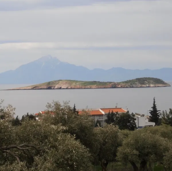 Αγροτεμάχιο 34105τ.μ.  - 3