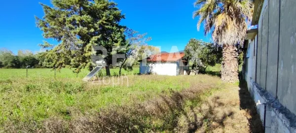 Detached house 59m²  - 2