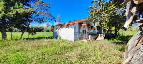 Detached house 59m²  - 3