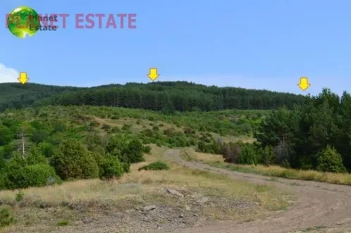 Land Parcel 4500000m²  - 4