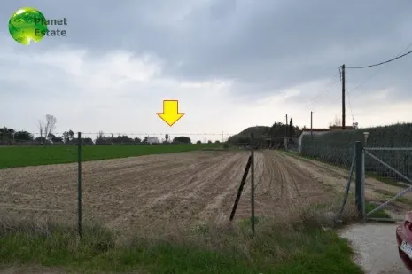 Land Parcel 14000m²  - 3