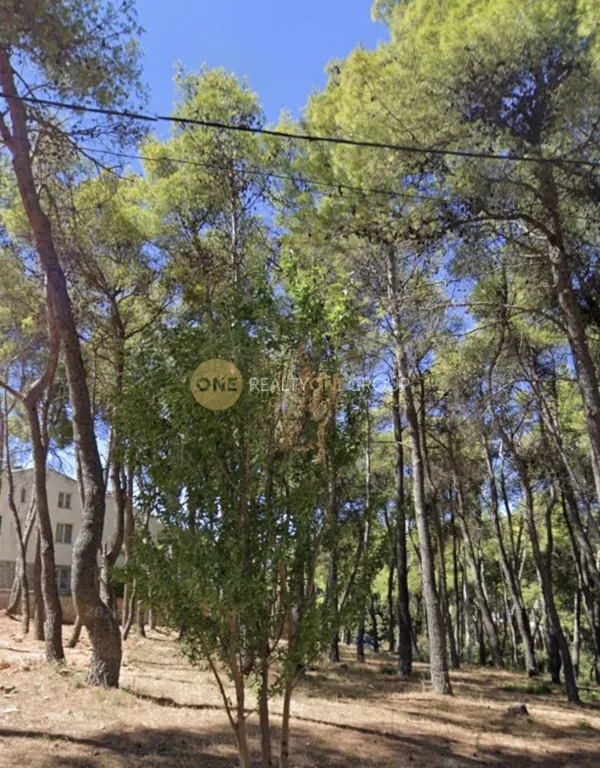 Οικόπεδο 1682τ.μ.  - 2