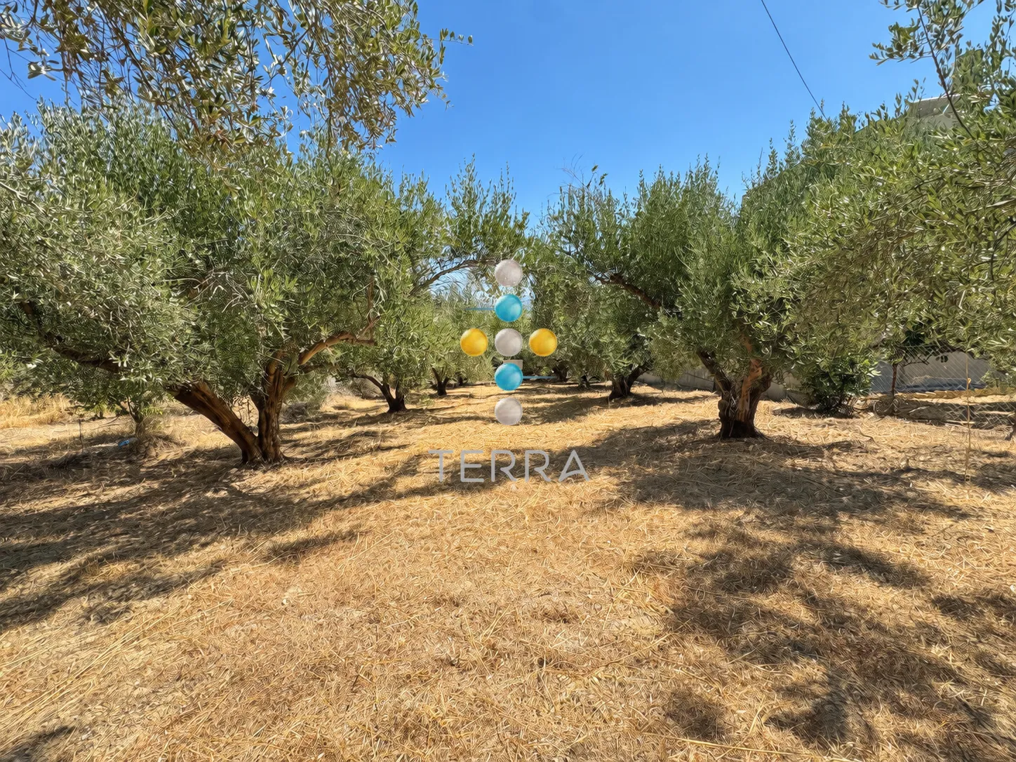 Οικόπεδο 616τ.μ.  - 2