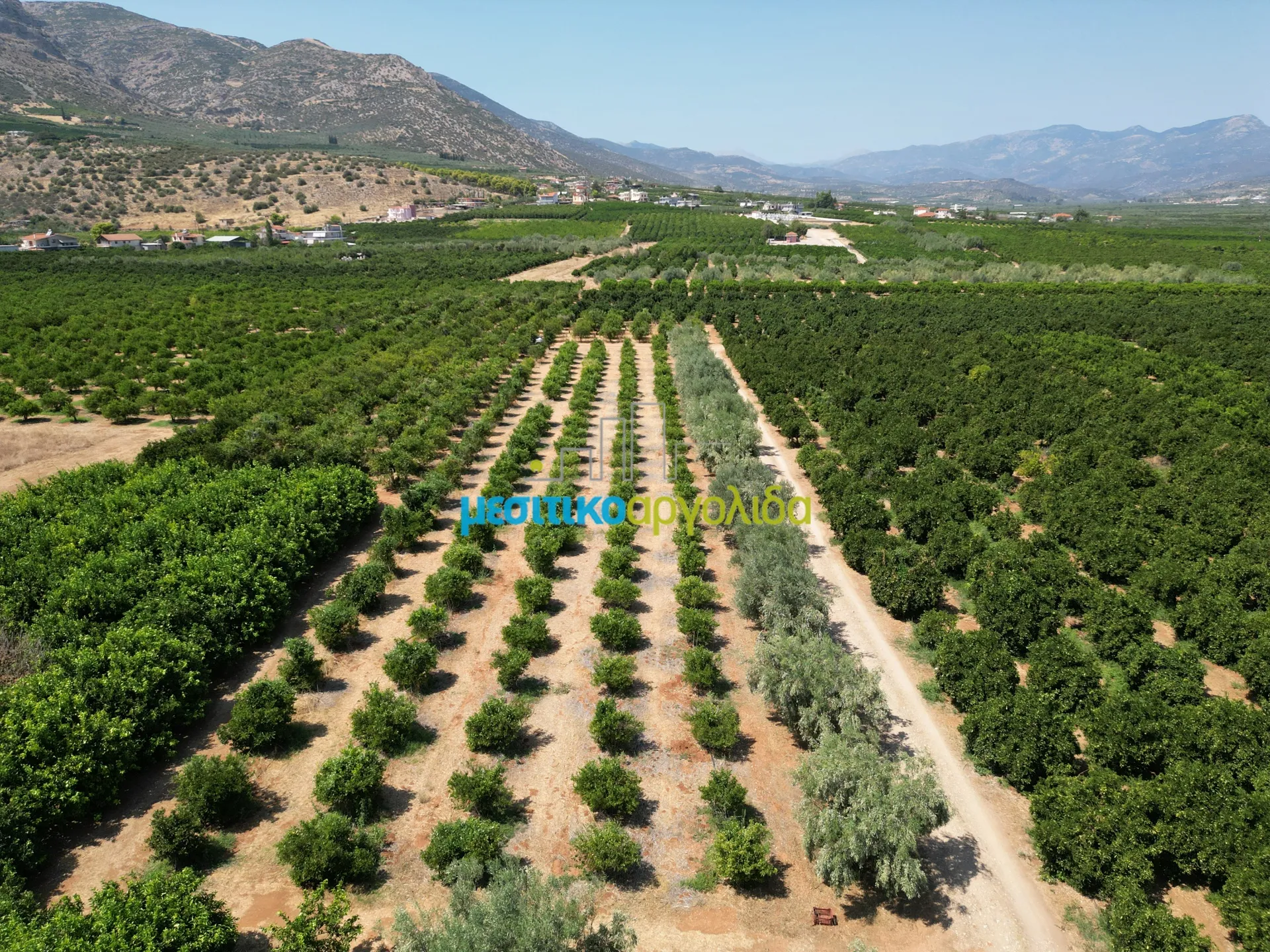 Αγροτεμάχιο 7335τ.μ.  - 3