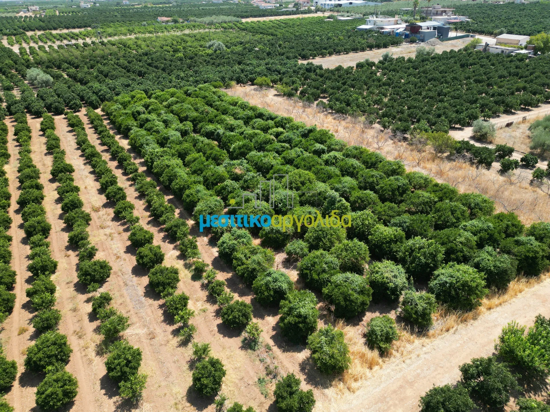 Αγροτεμάχιο 4081τ.μ.  - 3