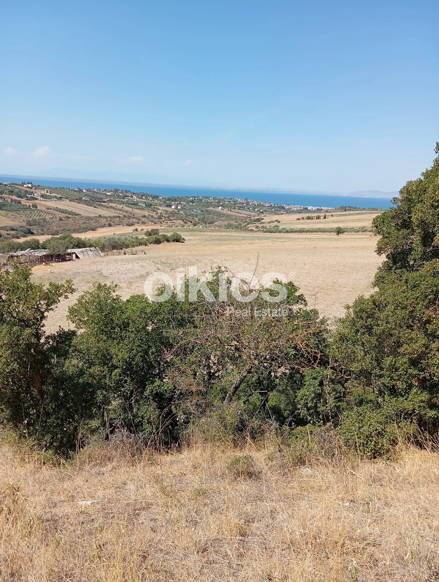 Αγροτεμάχιο 3800τ.μ.  - 2