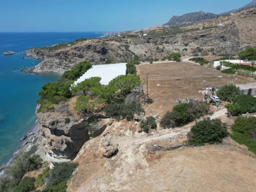 Οικόπεδο 4001τ.μ.  - 2