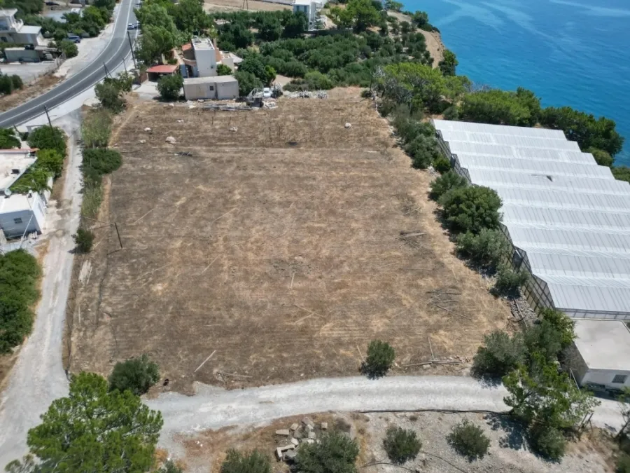 Οικόπεδο 4001τ.μ.  - 4