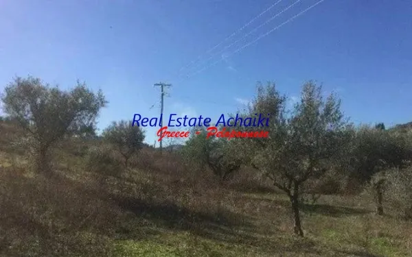 Αγροτεμάχιο 33545τ.μ.  - 2