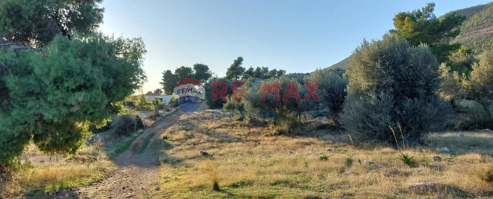 Land Parcel 10000m²  - 2