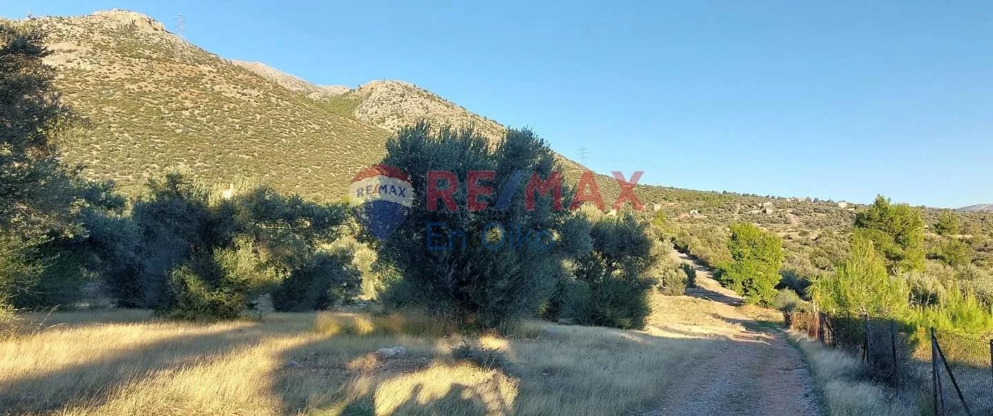 Land Parcel 10000m²  - 3