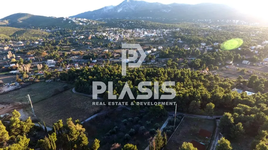Plot 2345m²  - 2
