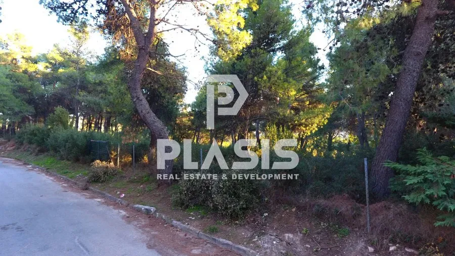 Plot 2345m²  - 3
