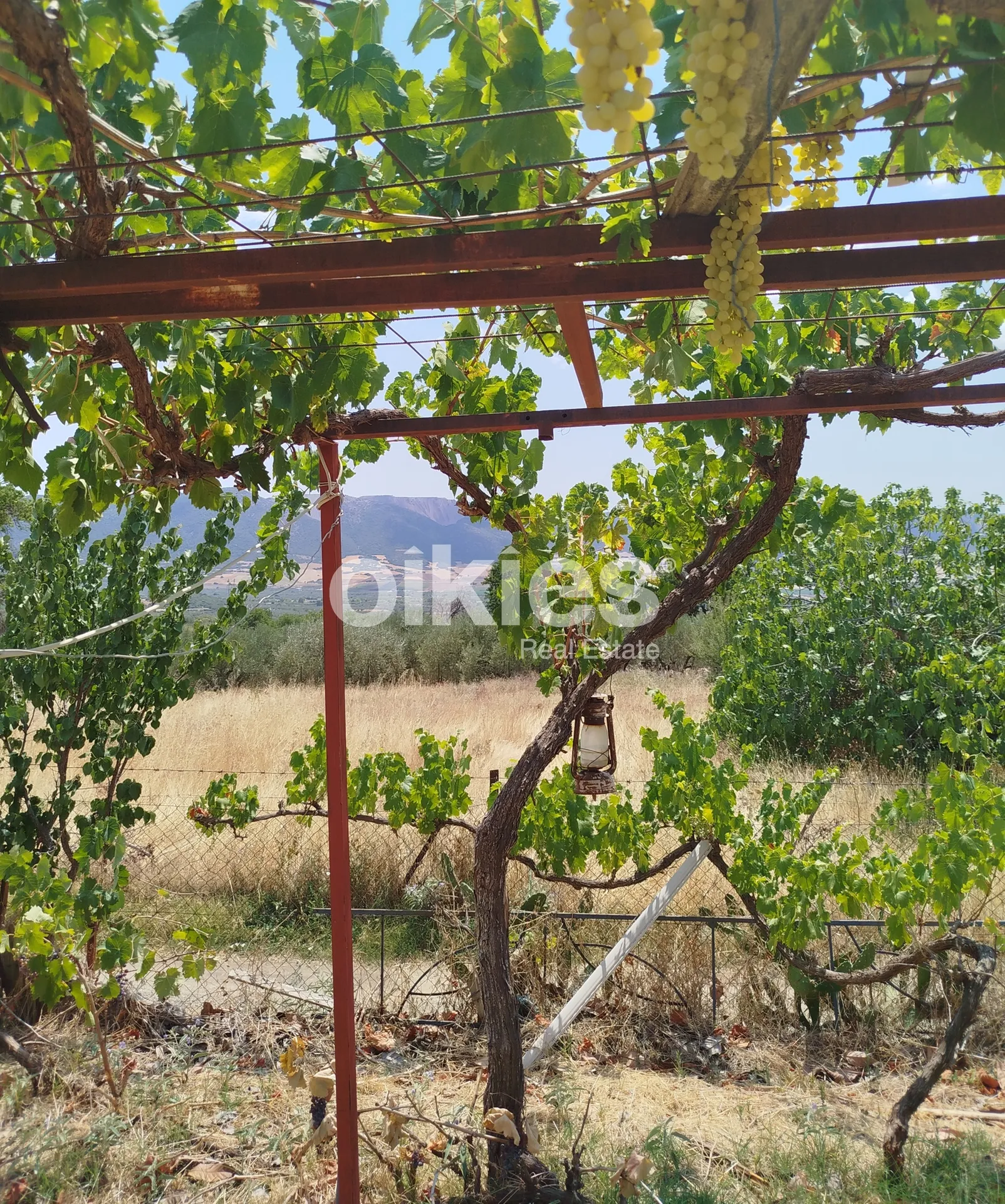 Αγροτεμάχιο 900τ.μ.  - 3