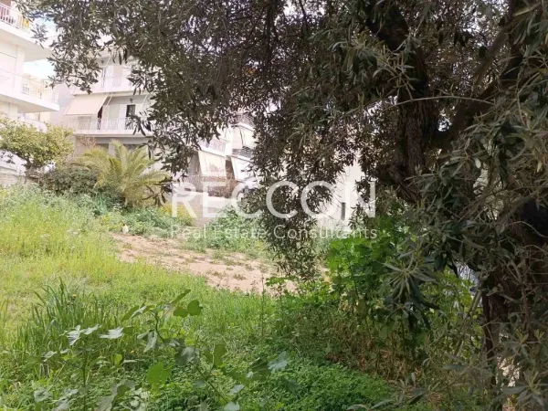 Plot 357m²  - 3
