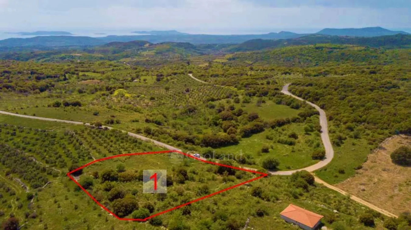 Αγροτεμάχιο 4532τ.μ.  - 2
