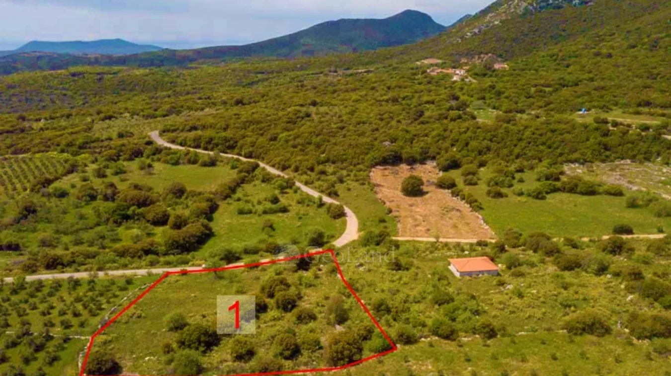 Αγροτεμάχιο 4532τ.μ.  - 3