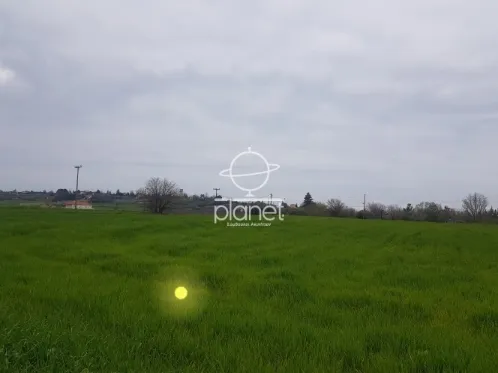 Land Parcel 2500m²  - 3