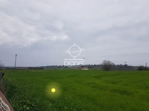 Land Parcel 2500m²  - 4