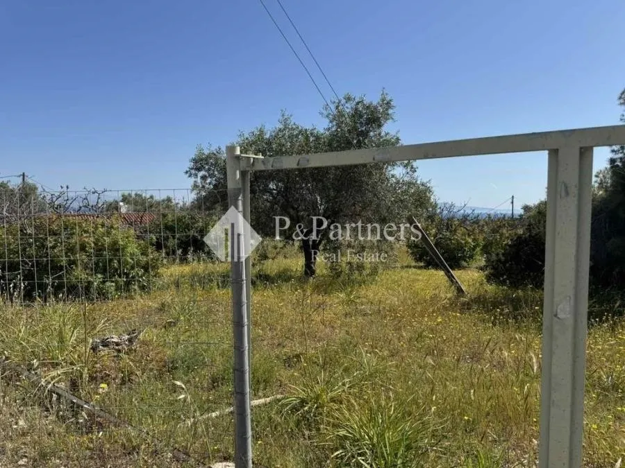 Οικόπεδο 3600τ.μ.  - 2