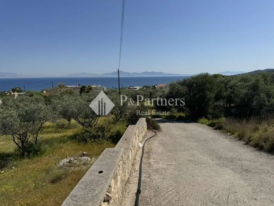 Οικόπεδο 3600τ.μ.  - 3