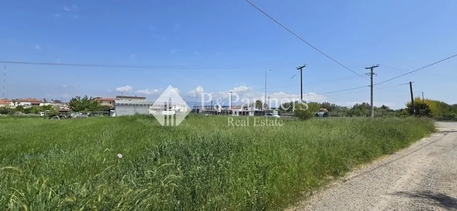 Οικόπεδο 1734τ.μ.  - 5