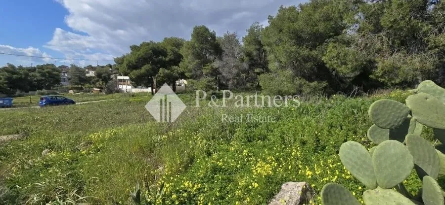 Αγροτεμάχιο 1235τ.μ.  - 3