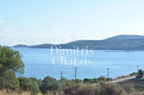 Αγροτεμάχιο 5238τ.μ.  - 4