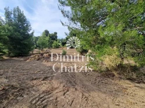 Land Parcel 5188m²  - 5