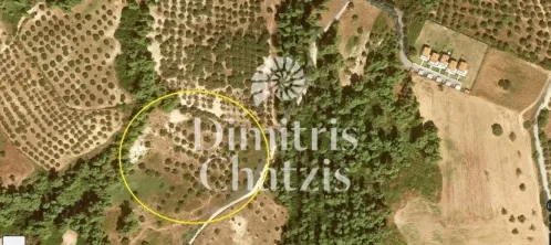Αγροτεμάχιο 17000τ.μ.  - 2