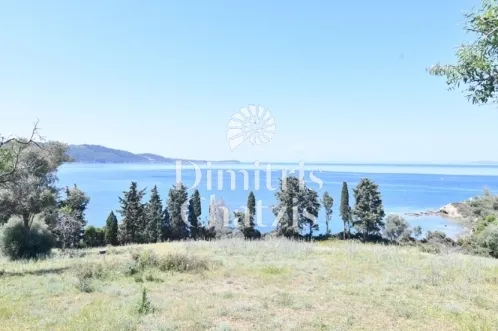 Αγροτεμάχιο 5000τ.μ.  - 2