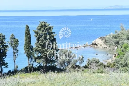 Αγροτεμάχιο 5000τ.μ.  - 5
